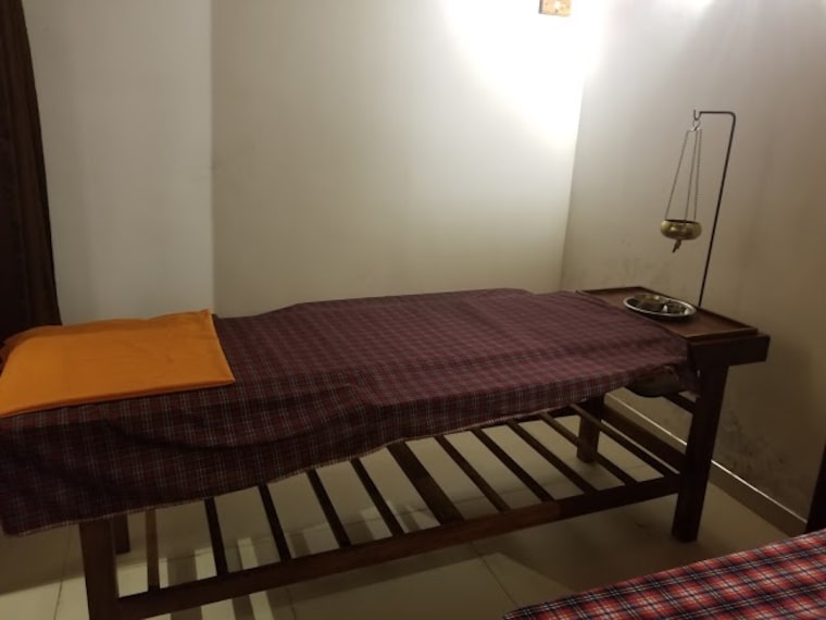 Try Ayurvedic Therapies-1